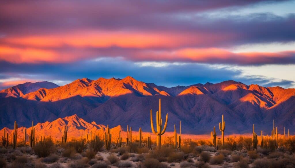 Desert Beauty in Palm Springs